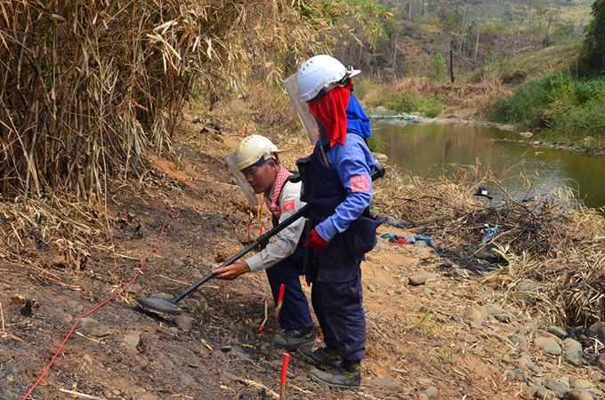Two Irish Aid-funded HALO Trust demining staff search a minefield together in Ba Huy Village, Cambodia. Photo credit: HALO Trust