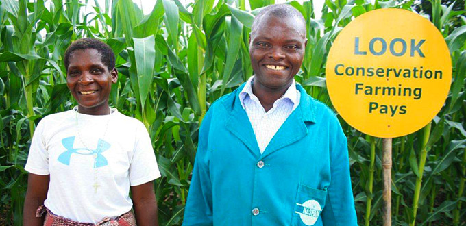 Daniel Kampani and his wife Clara on their conservation agriculture demonstration plot