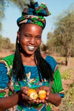 A woman in Widou Thingily, Northern Senegal shows her crop of Tomatoes. Photo: WFP/Jenny Matthews
