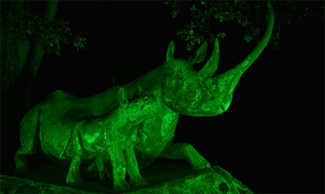 Kyela Lankeu Green Rhinos